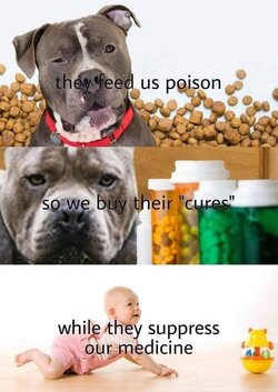 FB_IMG_1684672237256.jpg