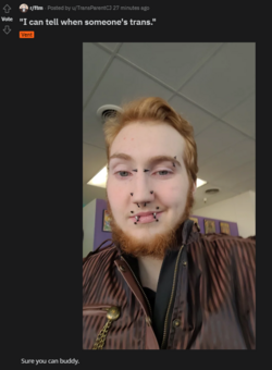 Screenshot 2023-05-22 110431.png