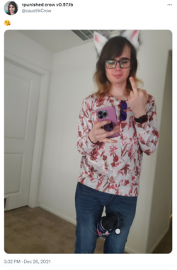 1684735203642.png