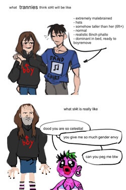 tttt3.jpg
