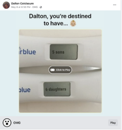 dalton_05.png