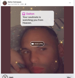 dalton_06.png