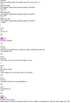 tim win and equi.png