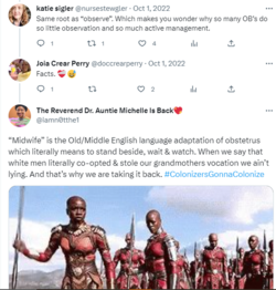 birth equity 2.PNG