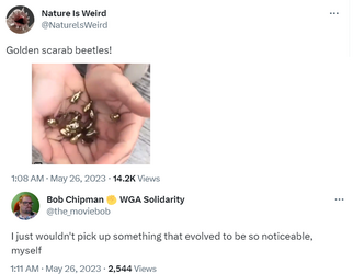 beetles.png