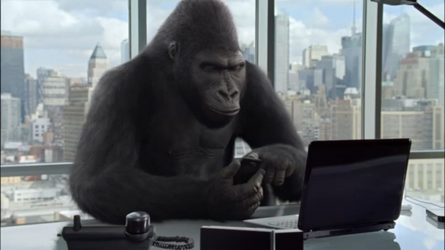 gorilla-with-computer.png
