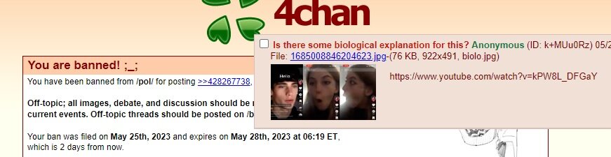 jdjd.jpg