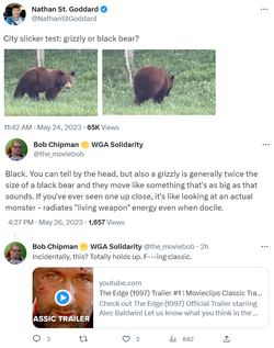 bear.png