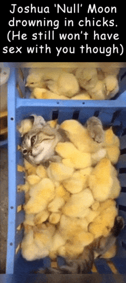 kittenmoon9.gif
