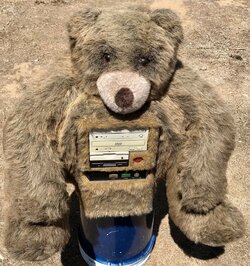 bear computer.jpg