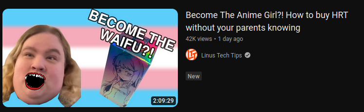 1685277556093.png