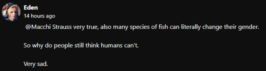 fish.png