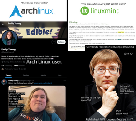 arch vs mint.png