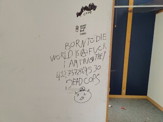 13c.jpeg