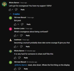 brave_DZbI4WgS7r.png