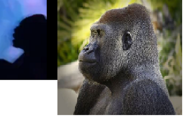 tell me the difference.png