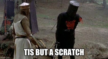 Tis but a scratch.jpg