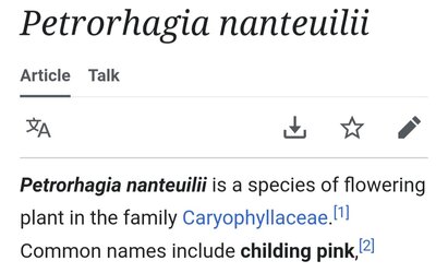 childingpink.jpg