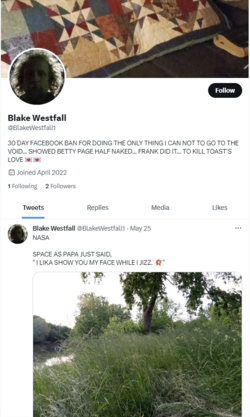 blake has stopped posting.png