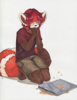 1685731783702.png