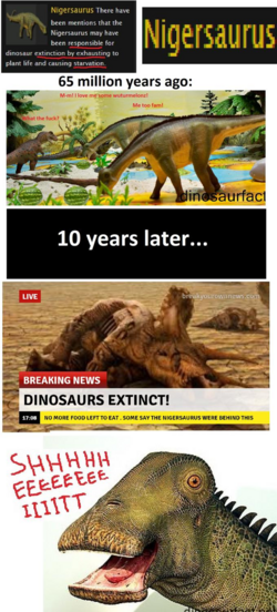 9ad.png