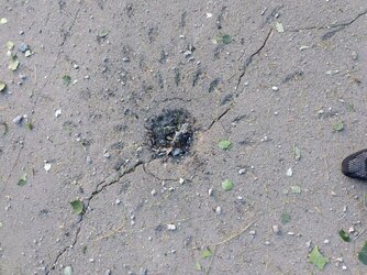 Part of the 9N24 fragmentation submunitions of the 9M79K cluster missile shot down over Berdya...jpg
