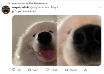 retweet.PNG
