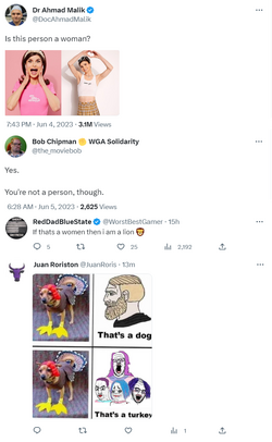 dylan.png