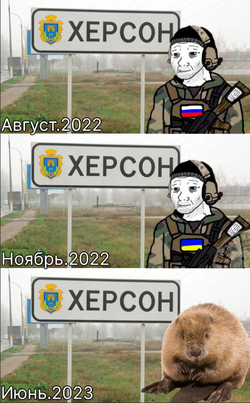 kherson_beaver_meme.png