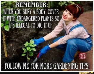 Gardening Tips.jpg