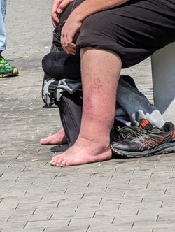 IMG_20230608_133856_729.jpg