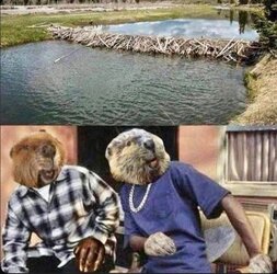 lol.JPG