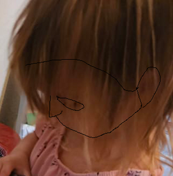 facedoxfeatures.png