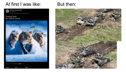 leo.jpg
