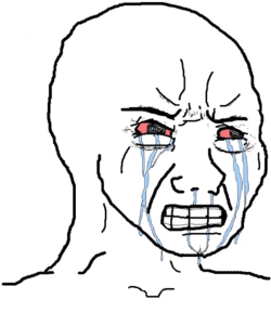 Crying_wojak.png
