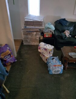 livingroom4.jpeg