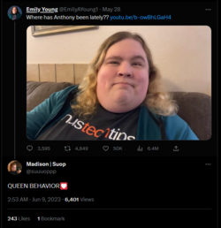 madison ltt.PNG