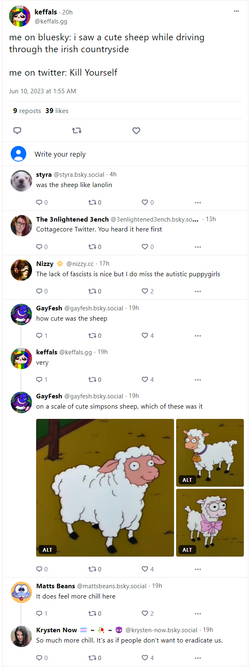 lucascringe5.png