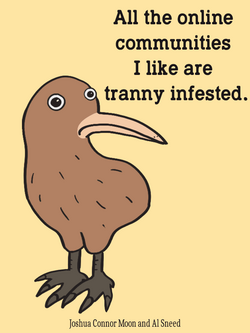 kiwisplight.png
