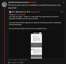 chip.jpg