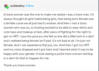 terf brained shit 3.PNG