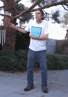 terrydance.gif