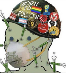1686702798962.png