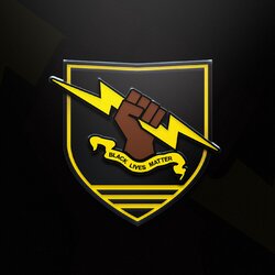 Bungie_BLM_pin_render_TWAB.jpg