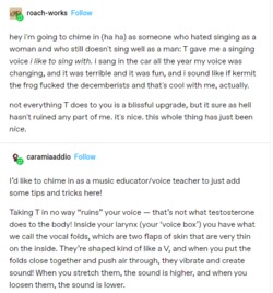 T voice 6.PNG T voice 6.PNG