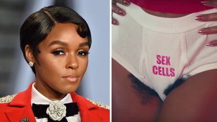 janellemonaepubichair-1898104163.jpg