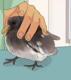 tumblr_02d904cac723f1bd85f6a33bac8a2788_807e5bca_1280.png