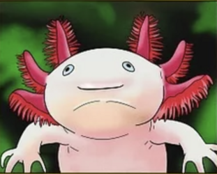 tumblr_01d9a65cc987c0521cbebc79ad80927d_c91733fd_500.png