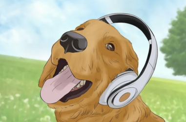 tumblr_39521716496cb4d5ff5db3398d349a8d_82aa913f_1280.png
