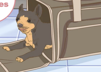 tumblr_b388f8c7cbccb70c80be049eadccd073_36bb9baf_1280.png